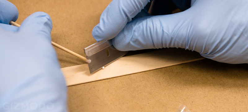 Illustration for article titled Inside the Forensic Lab That Fights Crime and Counterfeits With DNA
